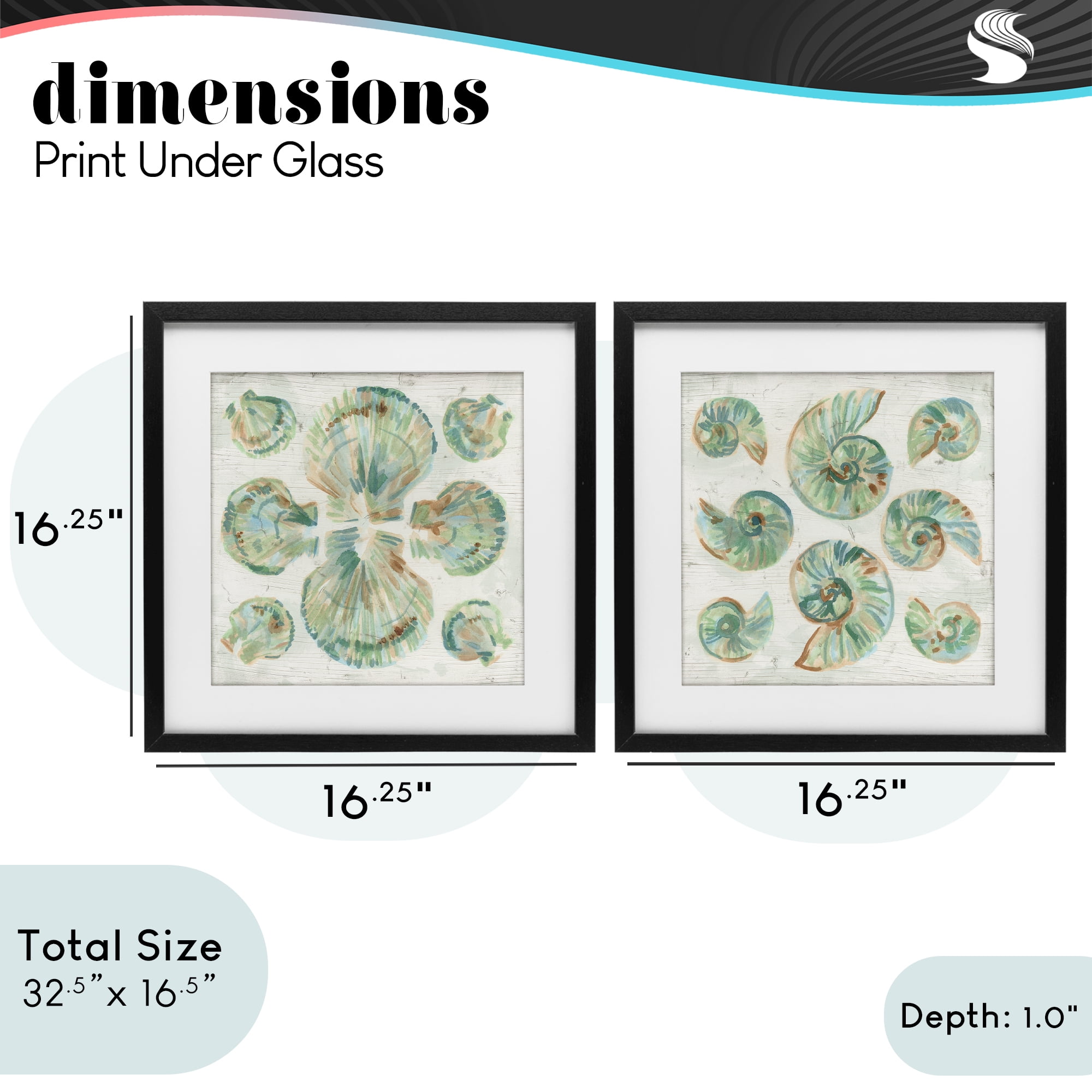 Stupell Industries Saltwashed Seashells Pattern 2 Piece Black Framed Print Under Glass Set, design by June Erica Vess