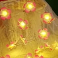 thumbnail image 3 of Guirnalda de luces de Frangipani de Dinheiro, Frangipani artificial, funciona con pilas, para fiestas de Navidad, bodas familiares y playa, 3 of 5