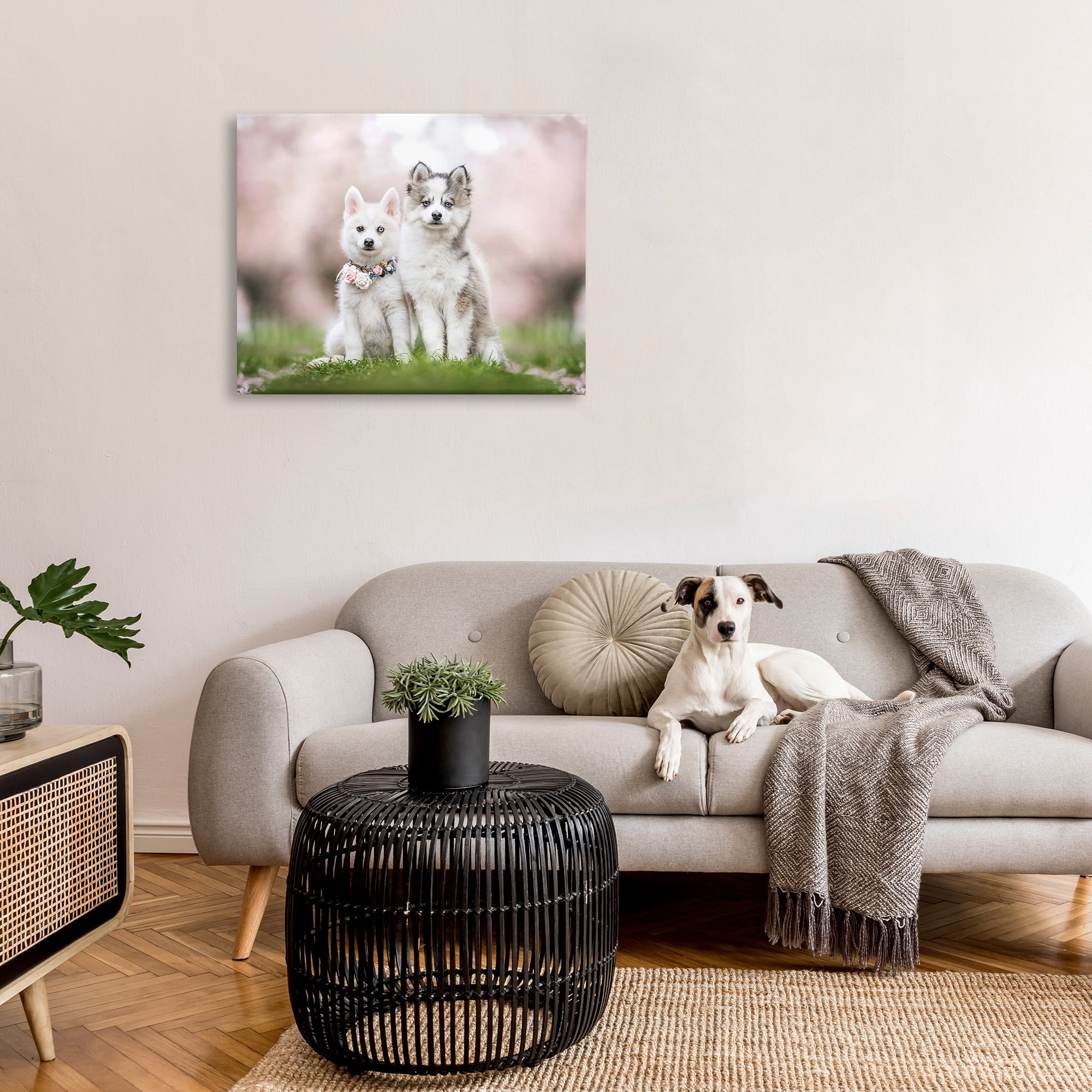 Stupell Industries Husky Puppies in Meadow Animals & Insects Painting Gallery Wrapped Canvas Art Print Wall Art, 40 x 30