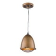 thumbnail image 1 of Artcraft Lighting Pendentif Rétro Loft AC10310, 1 of 1