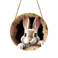 thumbnail image 5 of REK Easter Decor Easter Bunny Rabbit Hole Door Sign Wooden Easter For Festive Home & Party Entrance 30x30cm, 5 of 5