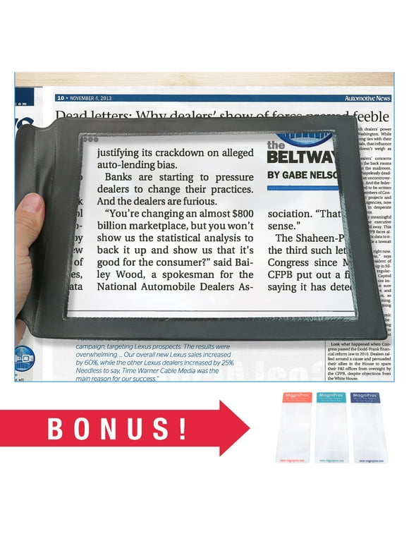 Full Page Magnifiers in Magnifying Glass