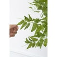 thumbnail image 5 of A&B Home 60" Wood Fern Bush-Color:Green,Style:Botanical, 5 of 8
