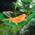 thumbnail image 7 of Unique Bargains Bearded Dragon Hammock Lizard Hammock with Suction Cups and Hooks Bearded Dragon Tank Accessories Reptile Lounger for Chameleon Geckos 1 Set Dark Green, 7 of 7