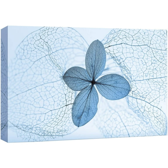 wall26 Canvas Print Wall Art Dried Transparent Blue Chinese Lantern Plants Floral Nature Photography Realism Rustic Scenic Relax/Calm Multicolor for Living Room, Bedroom, Office - 32"x48"