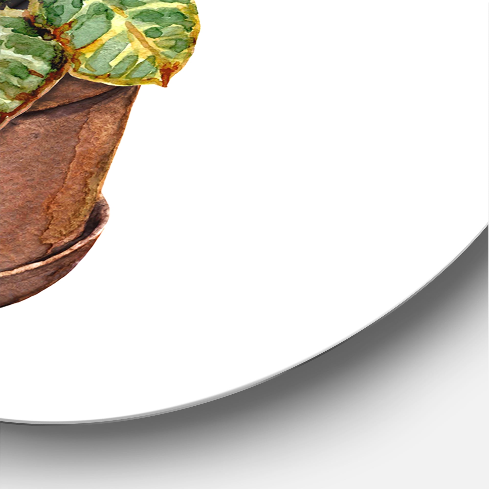 Designart 'Green Croton In Clay Flowerpot' Traditional Circle Metal Wall Art 11x11 - Disc of 11