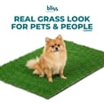 thumbnail image 2 of Bliss Artificial Grass, Potty Train Mat for Dogs, Easy Clean Drainage - 39.4" x 31.5", 2 of 12