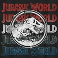 thumbnail image 2 of Boy's Jurassic World Fallen Kingdom 4th of July Logo  Graphic Tee Black Large, 2 of 5