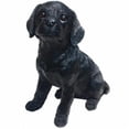 thumbnail image 1 of Chiot de Labrador Noir Ombre&44; Grand, 1 of 1