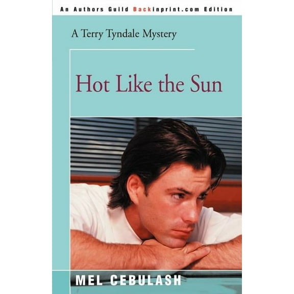 Terry Tyndale Mysteries Hot Like the Sun, (Paperback)