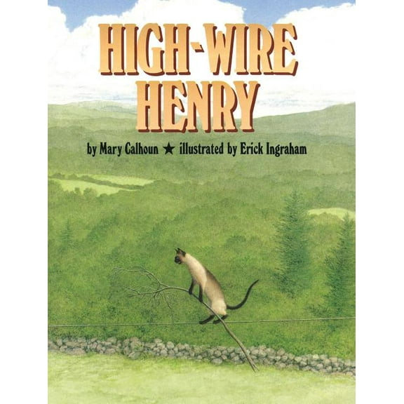 High-Wire Henry (Hardcover)