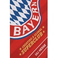thumbnail image 2 of Bayern: Creating a Global Superclub, (Paperback), 2 of 2