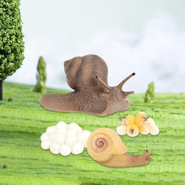 Figura del ciclo de crecimiento de la vida animal, aprendizaje preescolar, decoración para tartas, juguetes de desarrollo, material didáctico, juguete