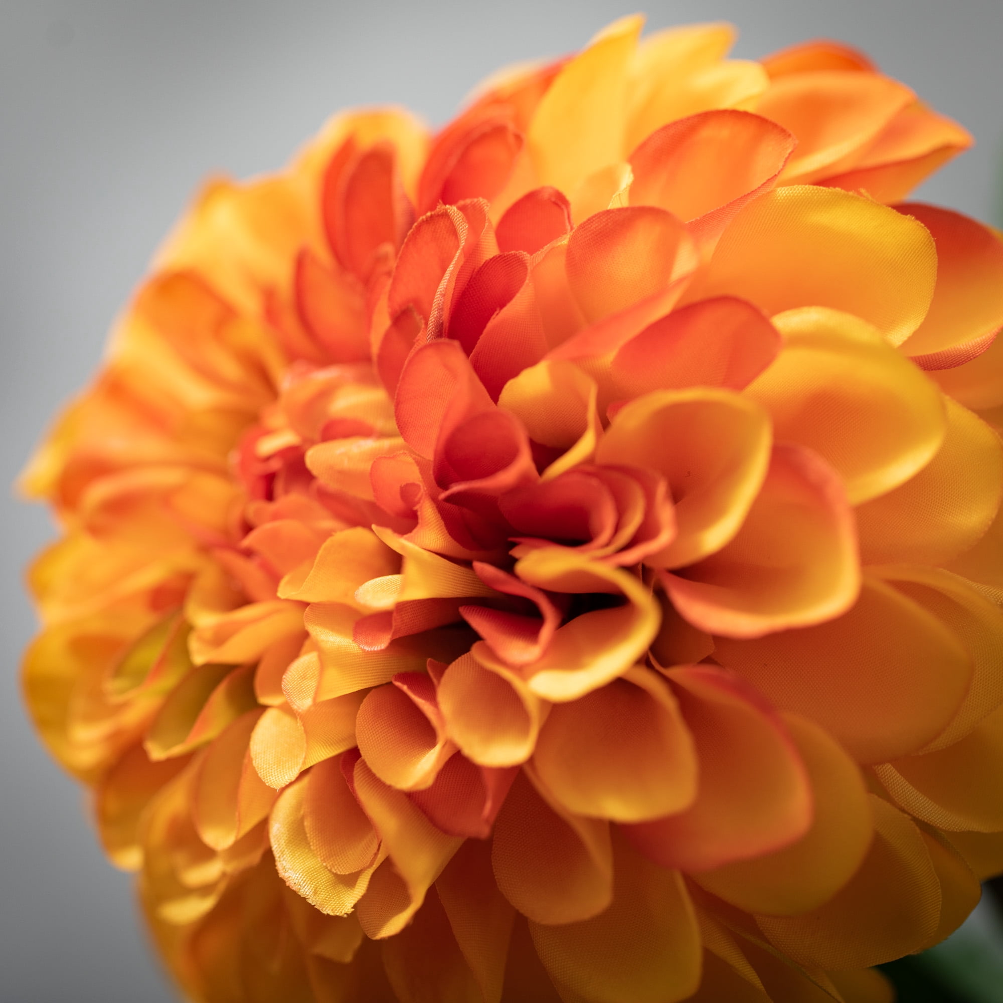 29.5"H Sullivans Orange Dahlia Flower Stem, Orange
