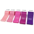thumbnail image 2 of Graflsoa 5-Piece Pink Gradient Resistance Band Set with Carry Bag, Instruction Manual, and Storage Box, 2 of 6