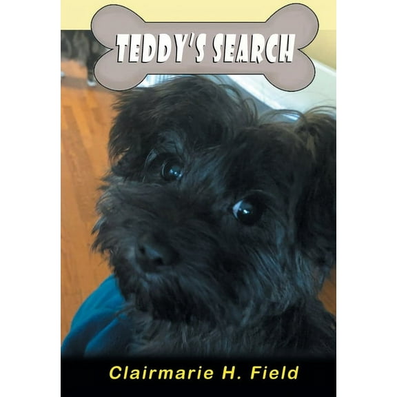 Teddy's Search, (Paperback)