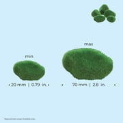 biOrb Green Moss Pebbles Set - Aquarium Decor