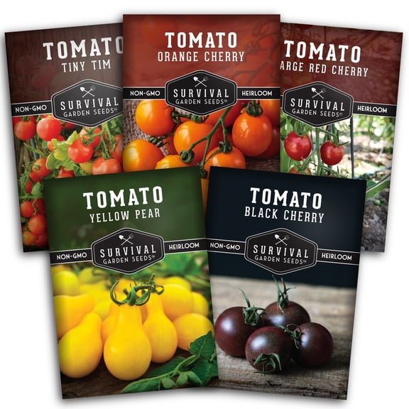 Cherry Tomato Seeds 5 Pack - Tiny Tim, Black Cherry, Yellow Pear, Large Red, Orange | Annual Vegetable