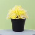 thumbnail image 4 of Fake Plants Mini Potted - Artificial Potted Flowers with Pot Small Faux Plants Indoor Plastic No Fade for Office Desktop Table Window Sill Bathroom, 4 of 8