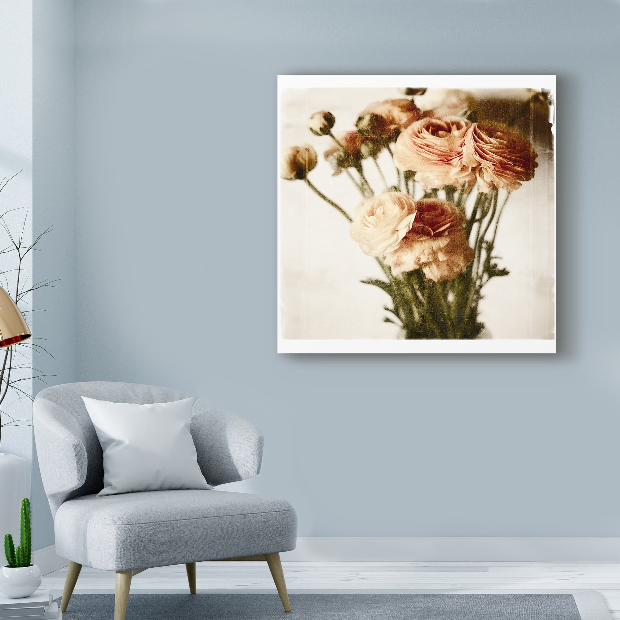 Trademark Fine Art 'Floral Ranunculus White Soft' Canvas Art by Michael Harrison
