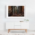 thumbnail image 2 of Walking Sequoia - California Photography White Framed Wall Art Print 16 x 24 inches, 2 of 3