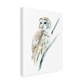 thumbnail image 2 of Annie Warren 'Arctic Owl I' Canvas Art, 2 of 3