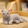 BINGLI Mignon Chat en Peluche, Jouet en Peluche Réaliste pour Adultes ...