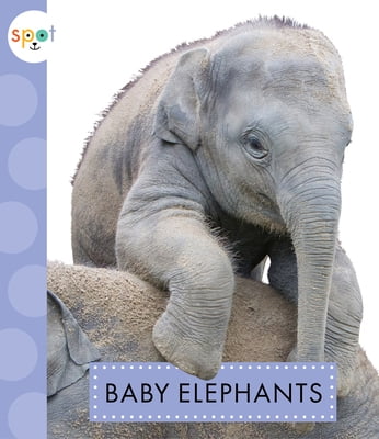 Pre-Owned Baby Elephants (Paperback) 1681522527 9781681522524