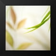 thumbnail image 2 of Poinski, Dianne 15x15 Black Modern Framed Museum Art Print Titled - Warm Breeze 2, 2 of 5