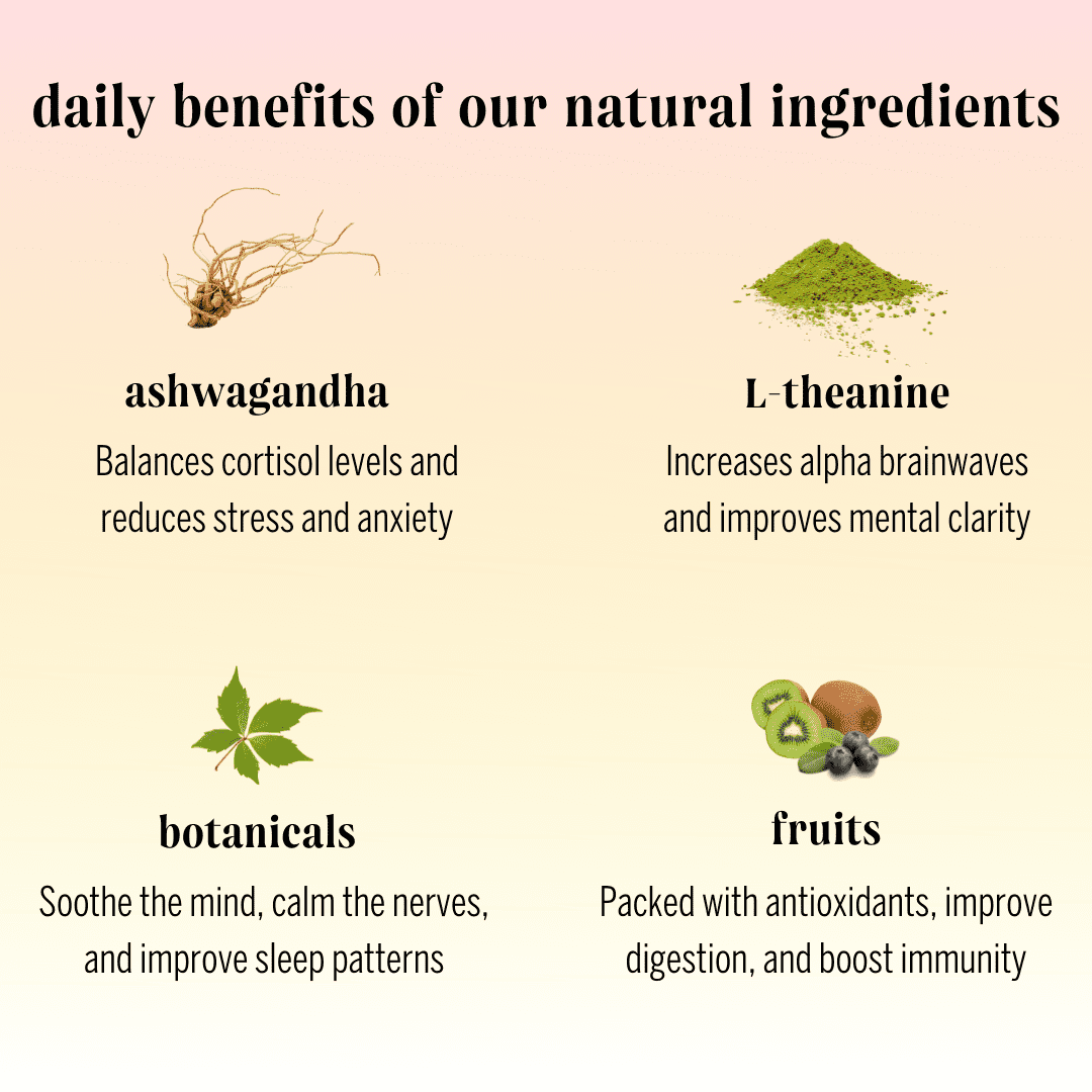 Moment Botanical Water, Rotating Sparkling Flavors, Zero Added Sugar, Variety 12-Pack, 11.5 fl oz - 2