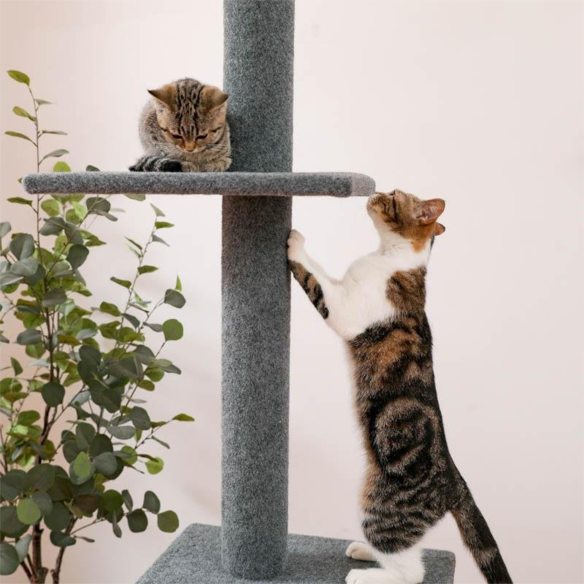 Kadyn 3-Tier Cat Tree Tower for Indoor Cats, Floor-to-Ceiling Cat Climbing Tree Modern Cat Tower 9 Feet (Adjustable 90"-108" Tall), Gray