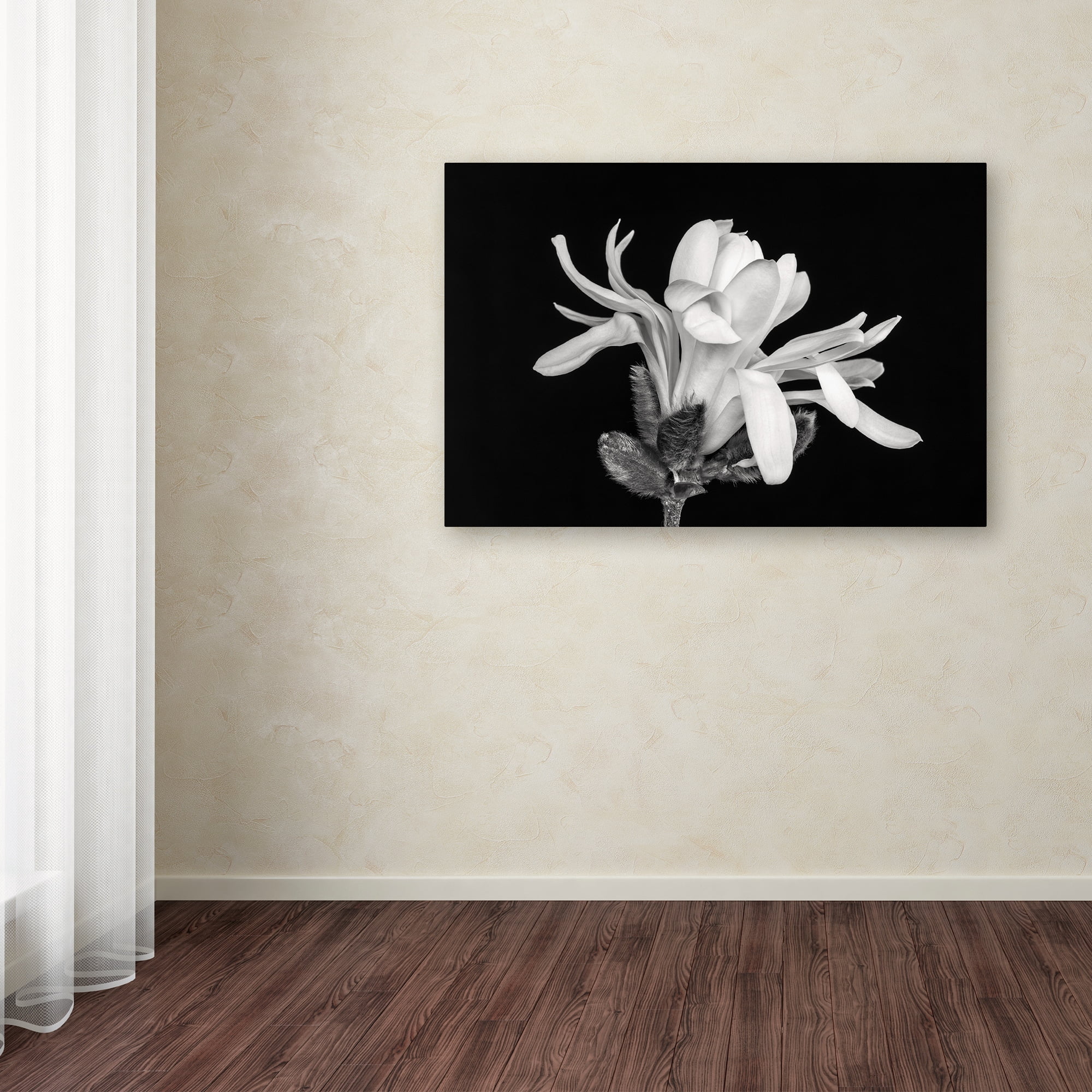Trademark Fine Art 'Magnolia Flower' Canvas Art by Pierre Leclerc