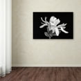 thumbnail image 4 of Trademark Fine Art 'Magnolia Flower' Canvas Art by Pierre Leclerc, 4 of 4