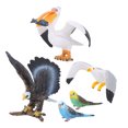 thumbnail image 4 of Animal Figurine, Cute Bird Figurine, Bird Model, Animal Simulation Toy, For Education Games 5pcs / Set, 4 of 8
