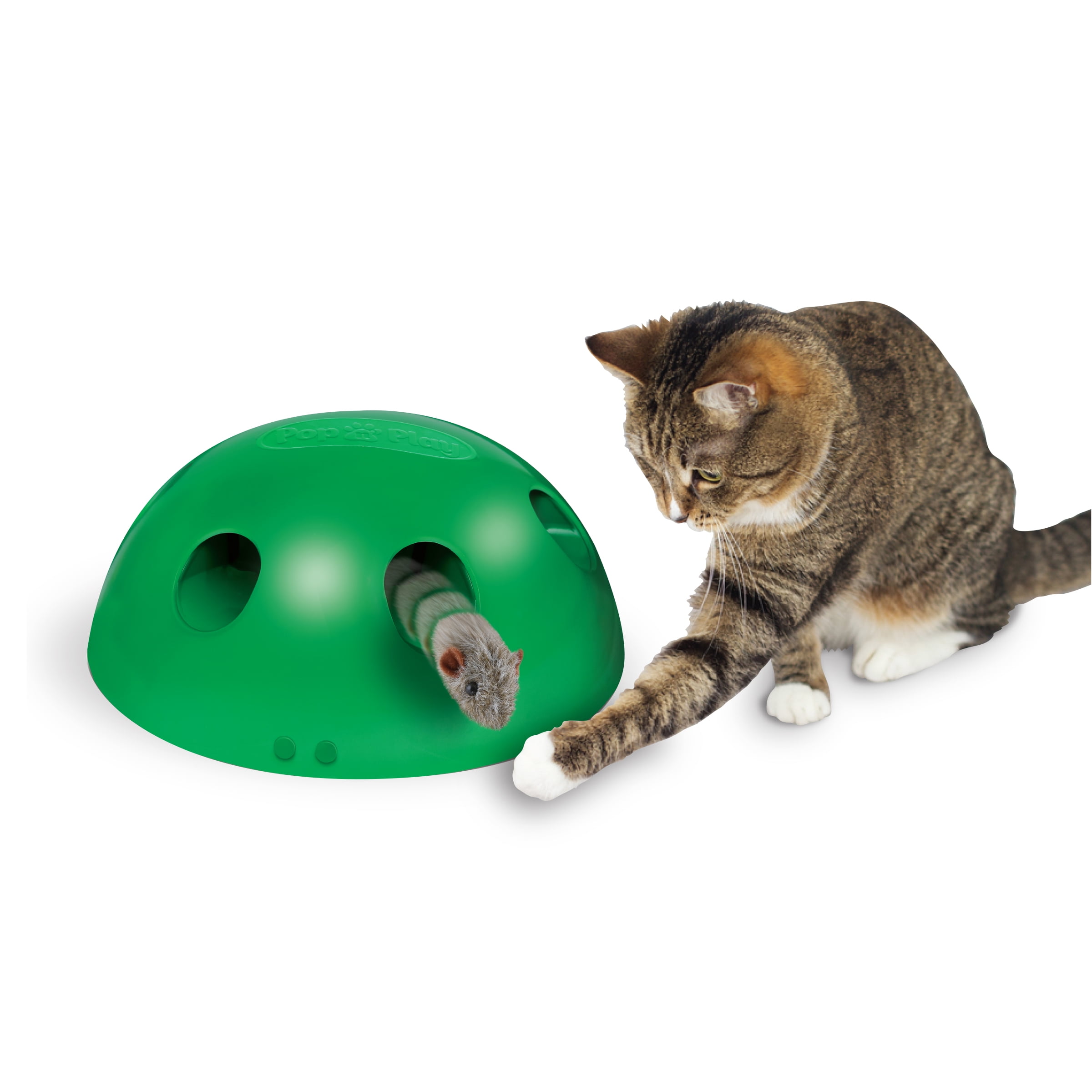 Pop and play 2025 cat toy reviews