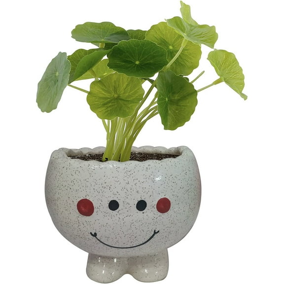 India Meets India Handicraft Ceramic Flower Pots Ceramic Planter Plant Pots Indoor Outdoor Planter, Best Gifting, Made by Awarded Indian Artisans