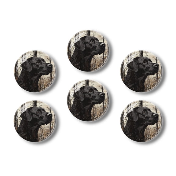 Glass Refrigerator Magnet 6Pcs Magnetic Fridge Sticker,Decor for Kitchen,Whiteboard,Cabinet,Black Labrador Retriever In The Woods