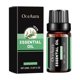thumbnail image 1 of Plant essential oil series body essential oil full body moisturizing massage care rejuvenating body oil eucalyptus essential oil, 1 of 3