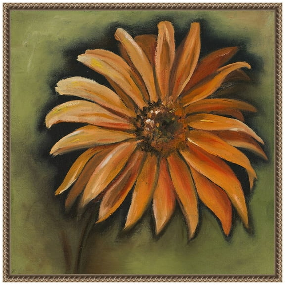 Amanti Art Daisy Collections III Framed Canvas Wall Art Print