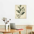 thumbnail image 3 of Acheng Vintage Botanical Wall Art Prints, Neutral Botanical Plant Prints Retro Botany Green Leaves Shrub Canvas Wall Art Pictures, Home or Office Walls 12x16 in, 3 of 5