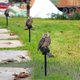 thumbnail image 3 of Garden Owl Solar Lights Outdoor Decor- Resin Owl Solar Led Garden Lights-waterproof, Energy Saving, 3 of 4