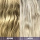 thumbnail image 5 of Framesi Color Lover Dynamic Blonde Violet Shampoo, 16.9 fl oz, Sulfate Free Shampoo, Color Treated Hair, 5 of 12