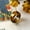 2, variant on Round Gifts Rings Ring Colorful Vintage Fashion Acetate Jewelry Finger Geometric-4-One Size