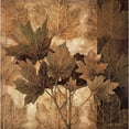 thumbnail image 3 of Thompson, Linda 20x20 Black Modern Framed Museum Art Print Titled - Leaf Patterns II, 3 of 5