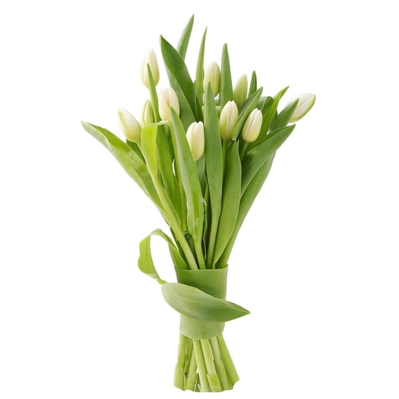KaBloom : 10 White Tulip, Next-Day Delivery, Gift for Every Occasion.