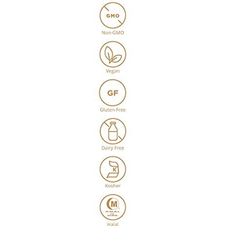 Vitamine B6 Solgar 50 Mg - Boîte De 100 Comprimés, Complément Alimentaire Neuf