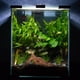 thumbnail image 5 of Decoración de madera muerta para acuario, forma aleatoria (15-20 cm), 5 of 7