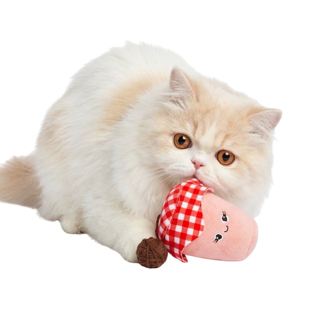 One Paw, Jam Shaped Cat Toy, Interactive and Fun