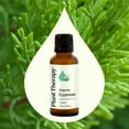 thumbnail image 3 of Plant Therapy Organic Cypress Essential Oil 30 mL (1 oz) 100% Pure, Undiluted, Therapeutic Grade, 3 of 9