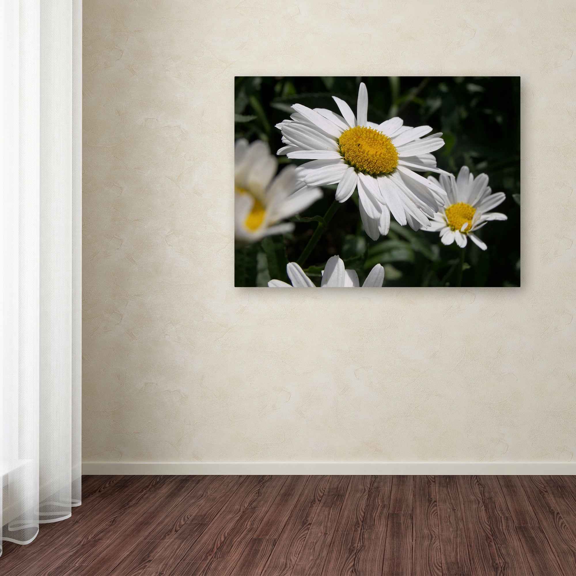 Trademark Fine Art "Dominating Beauty" Canvas Art by Monica Fleet